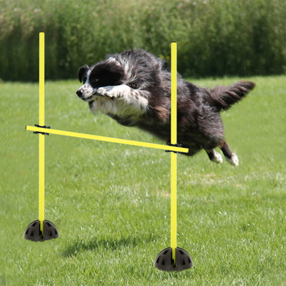 Hund tar sig över en gul tvärbom på gräs