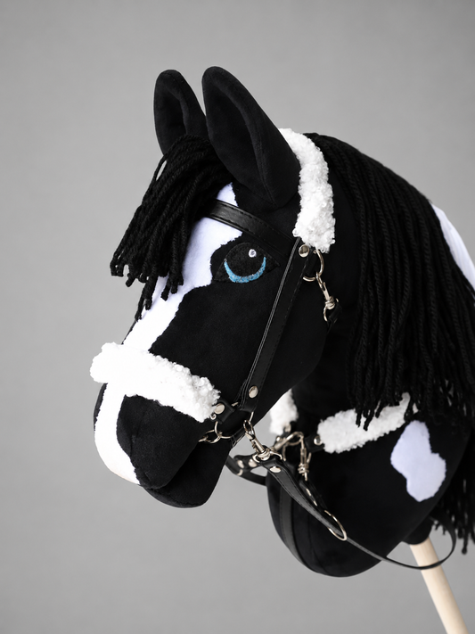 Goliath – Sort tobiano paint horse-kæphest